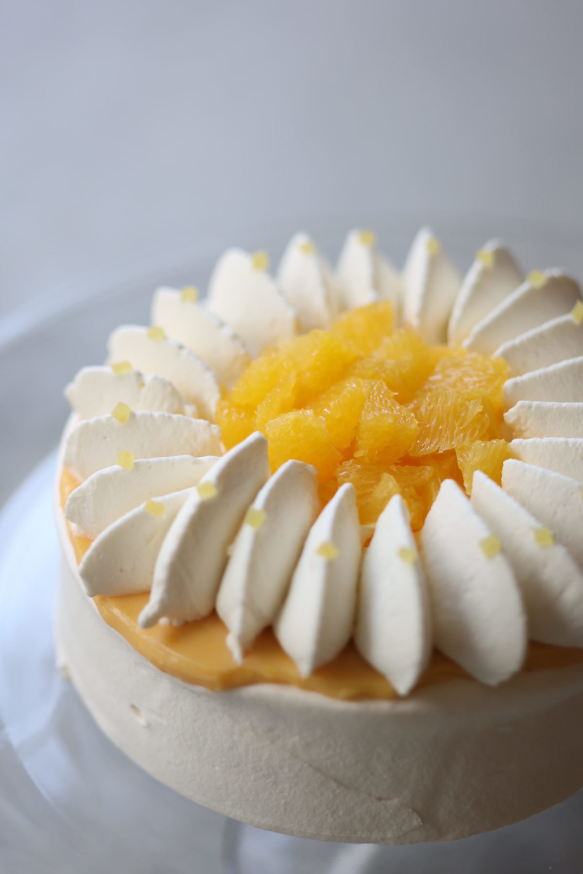 季節の柑橘とレモンカードのホールケーキ / Gâteau entier au citron