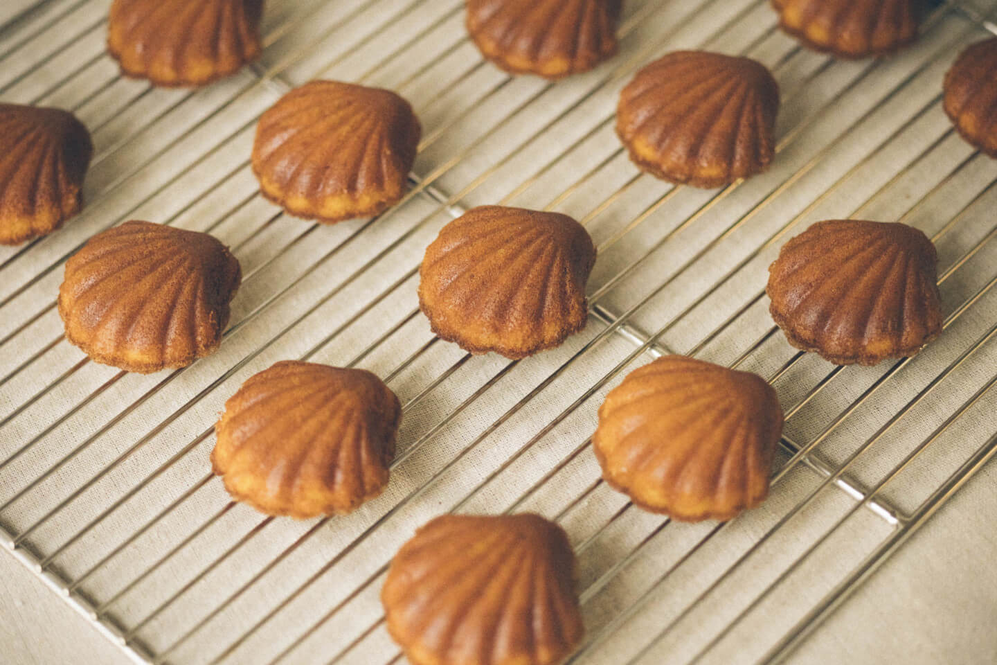 はちみつマドレーヌ / Madeleine le miel